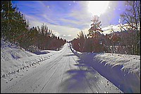winter-road.jpg